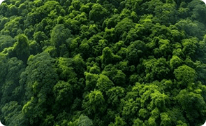 LTC GHG Report CY 2023