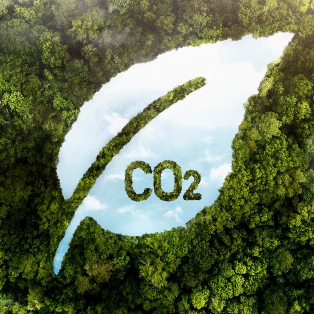 LTC Carbon Emission Reduction and Net Zero Commitment Policy