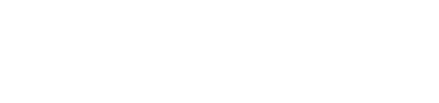 lightstorm logo